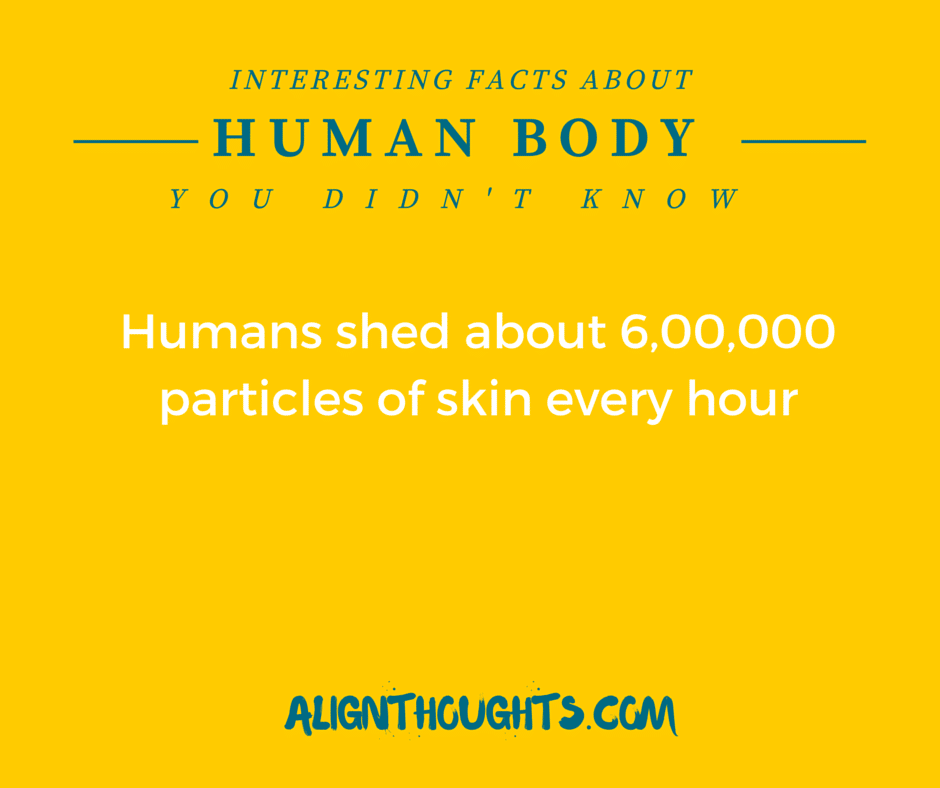 AlignThoughts-Interesting-Facts-About-Human-Body (10)