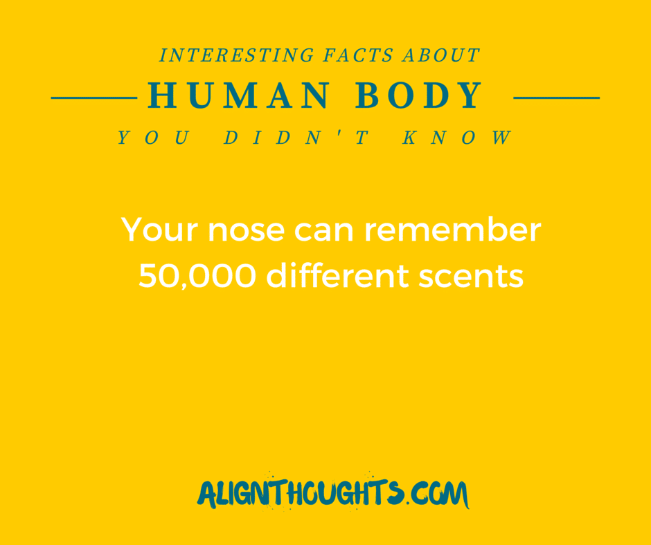 AlignThoughts-Interesting-Facts-About-Human-Body (11)