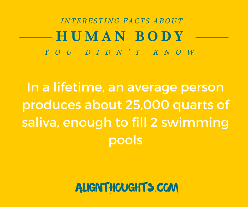 AlignThoughts-Interesting-Facts-About-Human-Body (12)