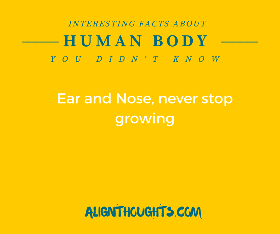 AlignThoughts-Interesting-Facts-About-Human-Body (13)