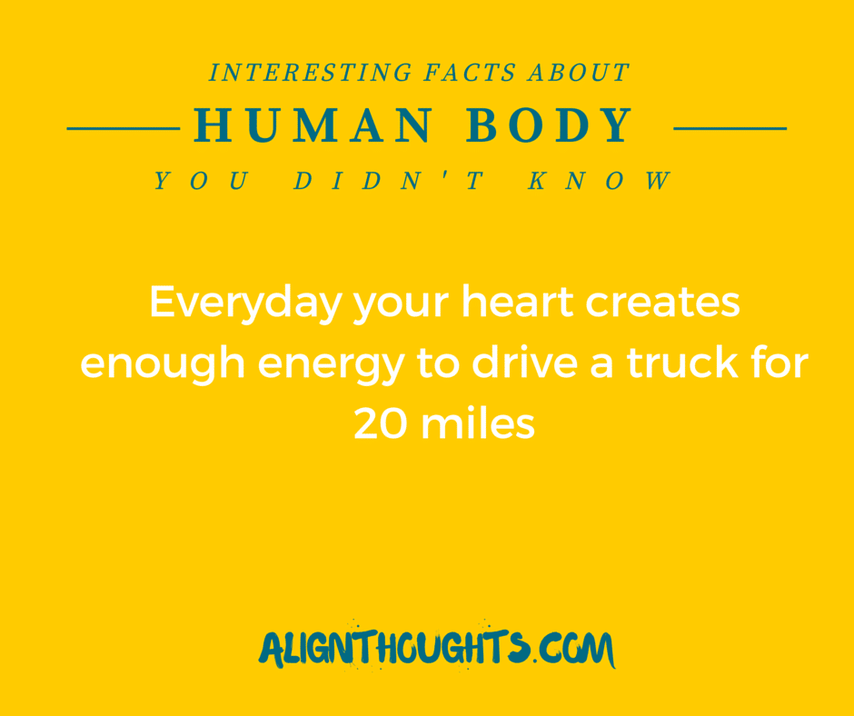 AlignThoughts-Interesting-Facts-About-Human-Body (15)