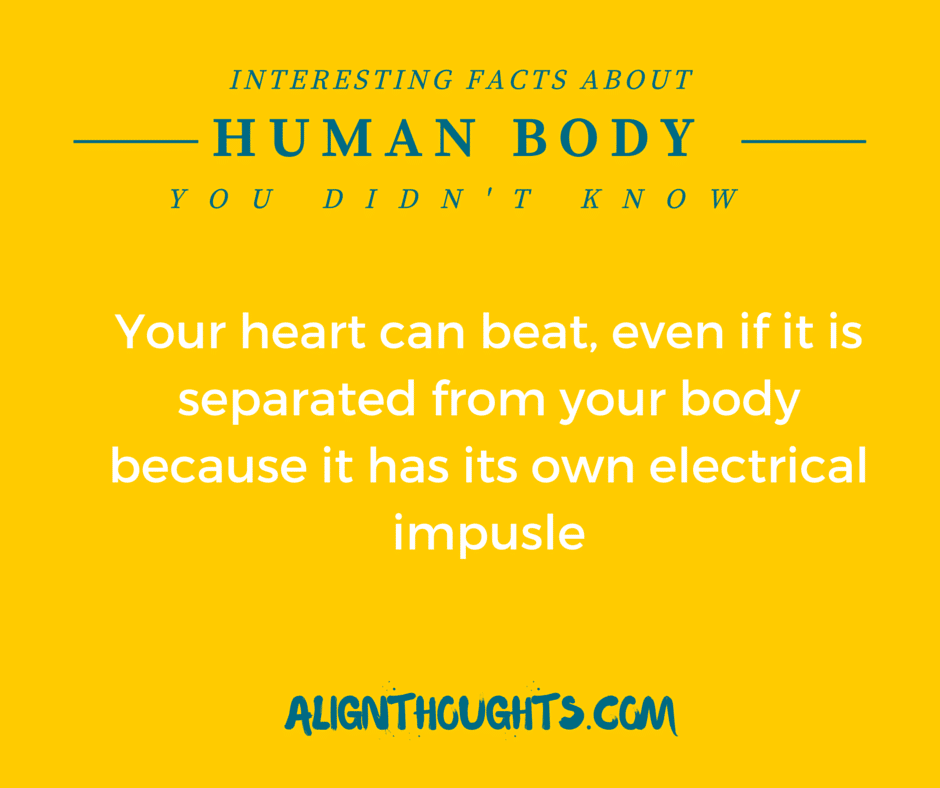 AlignThoughts-Interesting-Facts-About-Human-Body (16)