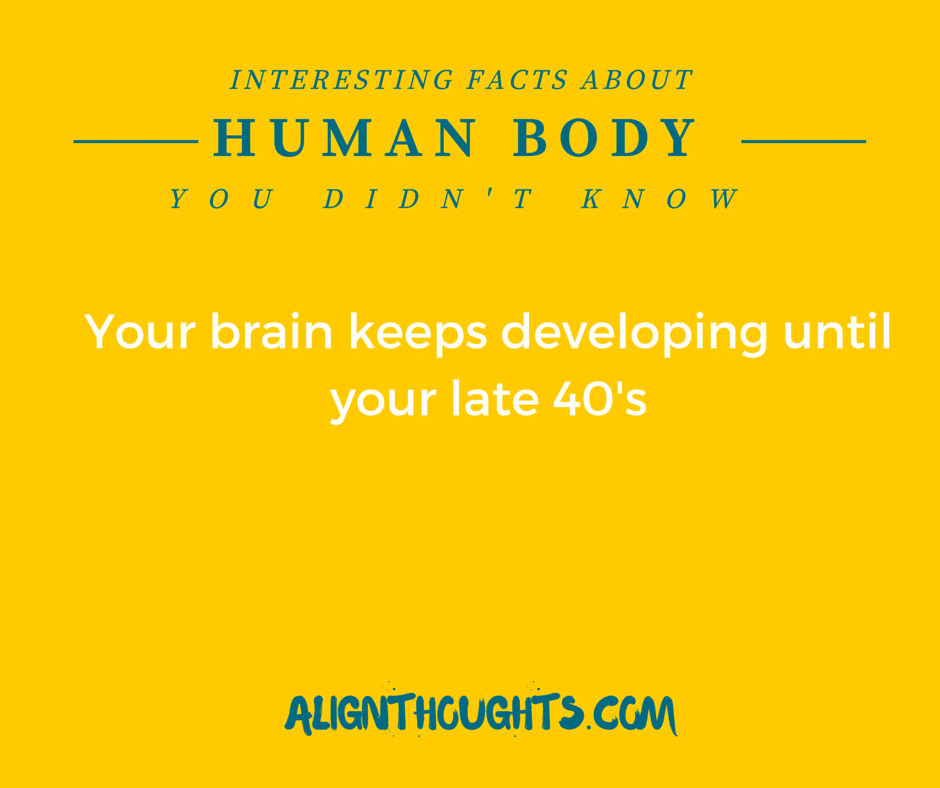 AlignThoughts-Interesting-Facts-About-Human-Body (17)