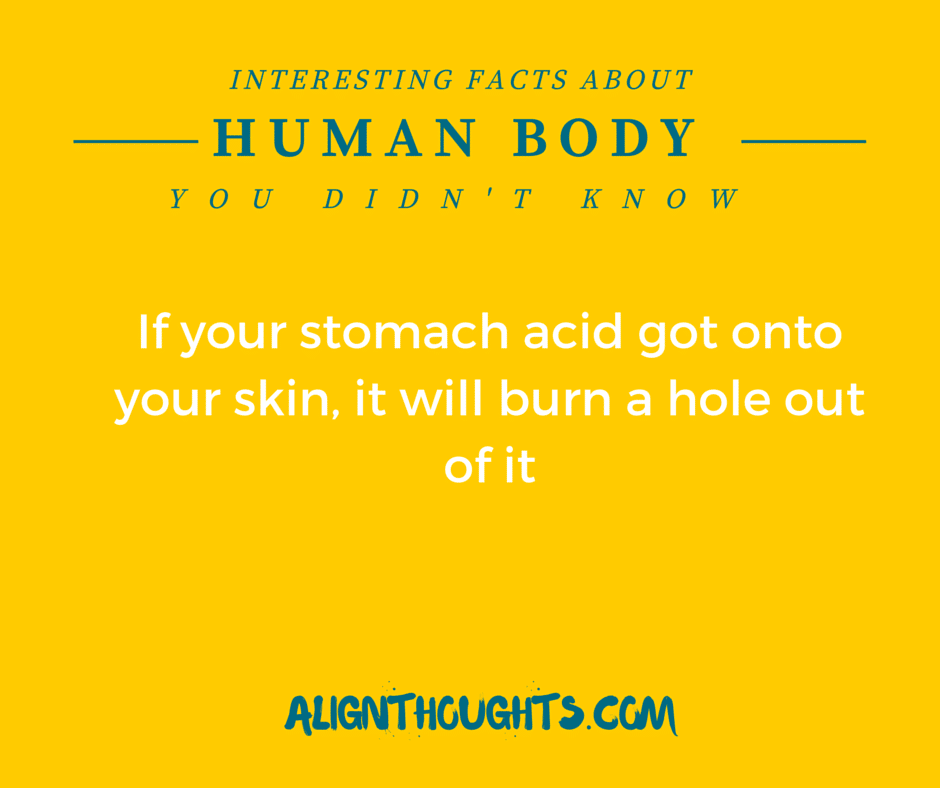 AlignThoughts-Interesting-Facts-About-Human-Body (19)