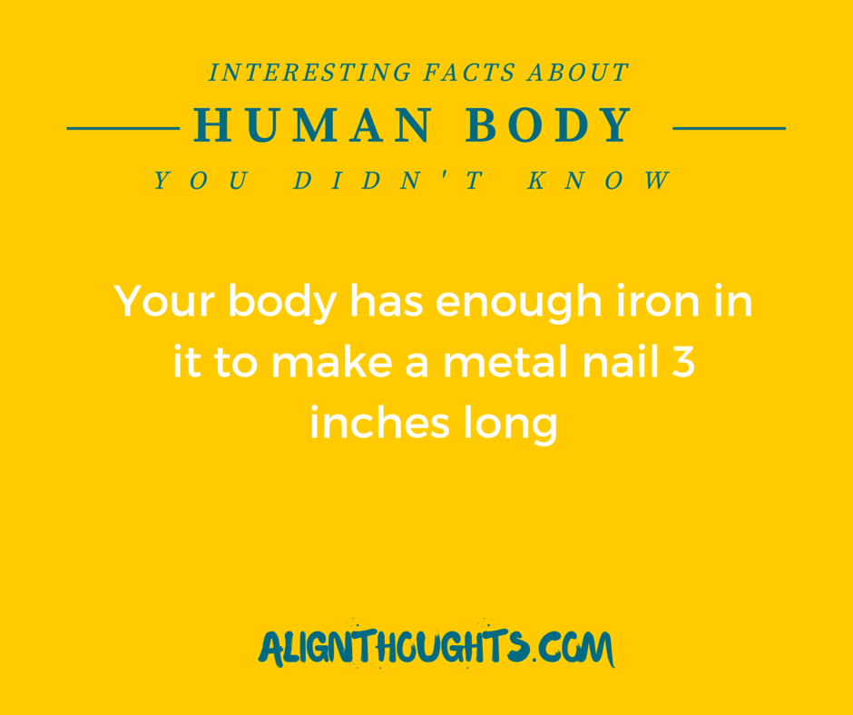 AlignThoughts-Interesting-Facts-About-Human-Body (8)