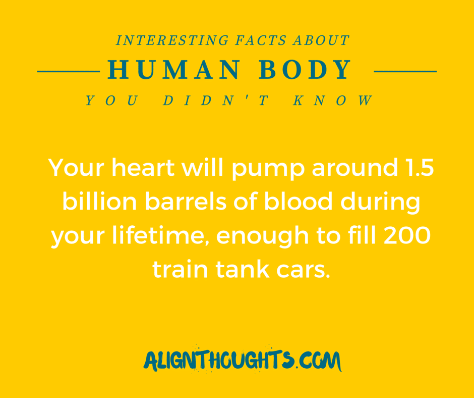 AlignThoughts-Interesting-Facts-About-Human-Body