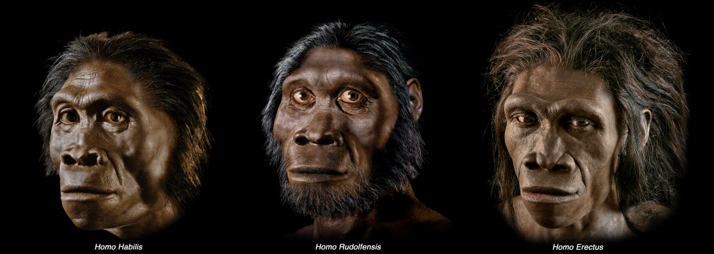 alignthoughts-three_busts_L_horizontal-bucci-2-human-evolution