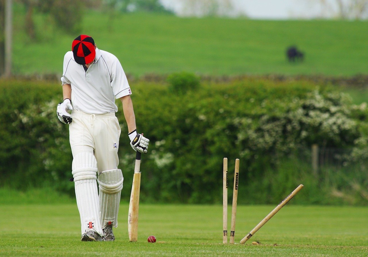 Best Cricket Autobiographies To Read & The Greatest Batsman of All Time