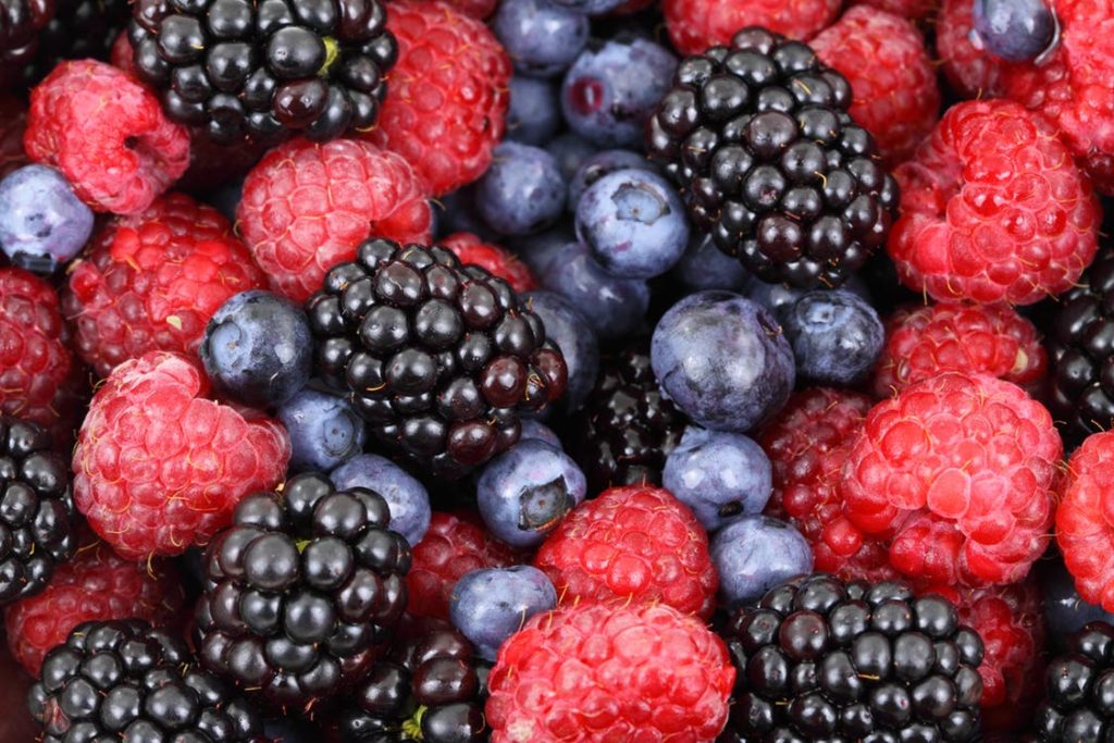 align-thougths-background-berries-berry-blackberries-87818