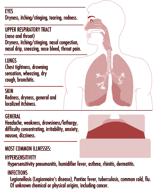 How-To-Reduce-Indoor-Air_Pollution-AlignThoughts | AlignThoughts Web ...