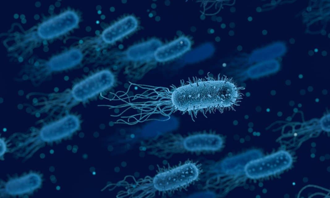 How Can Bacteria Produce Electricity