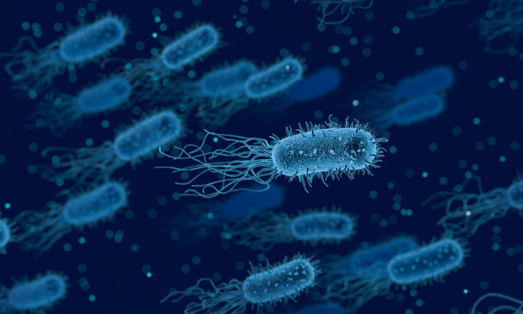 how can bacteria produce electricity-alignthoughts