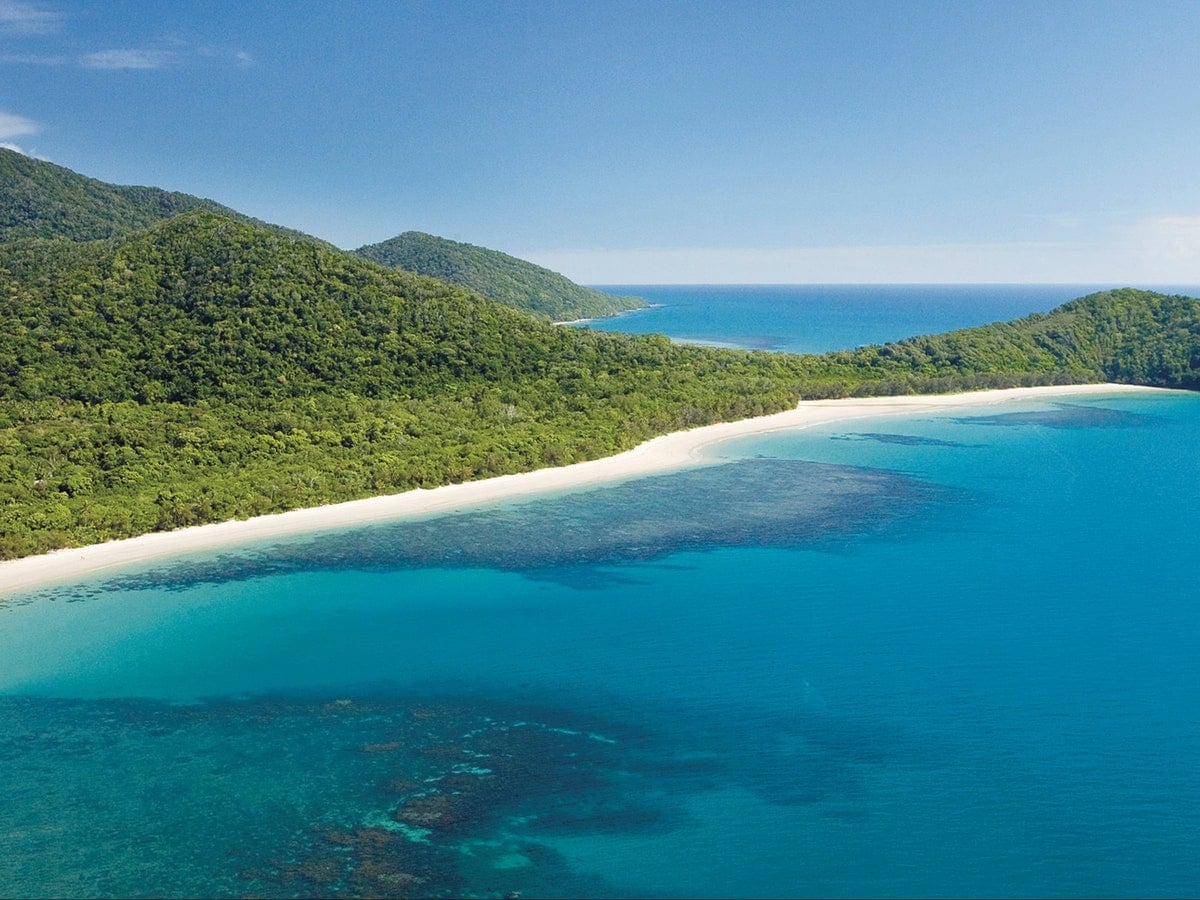 Daintree National Park Australia