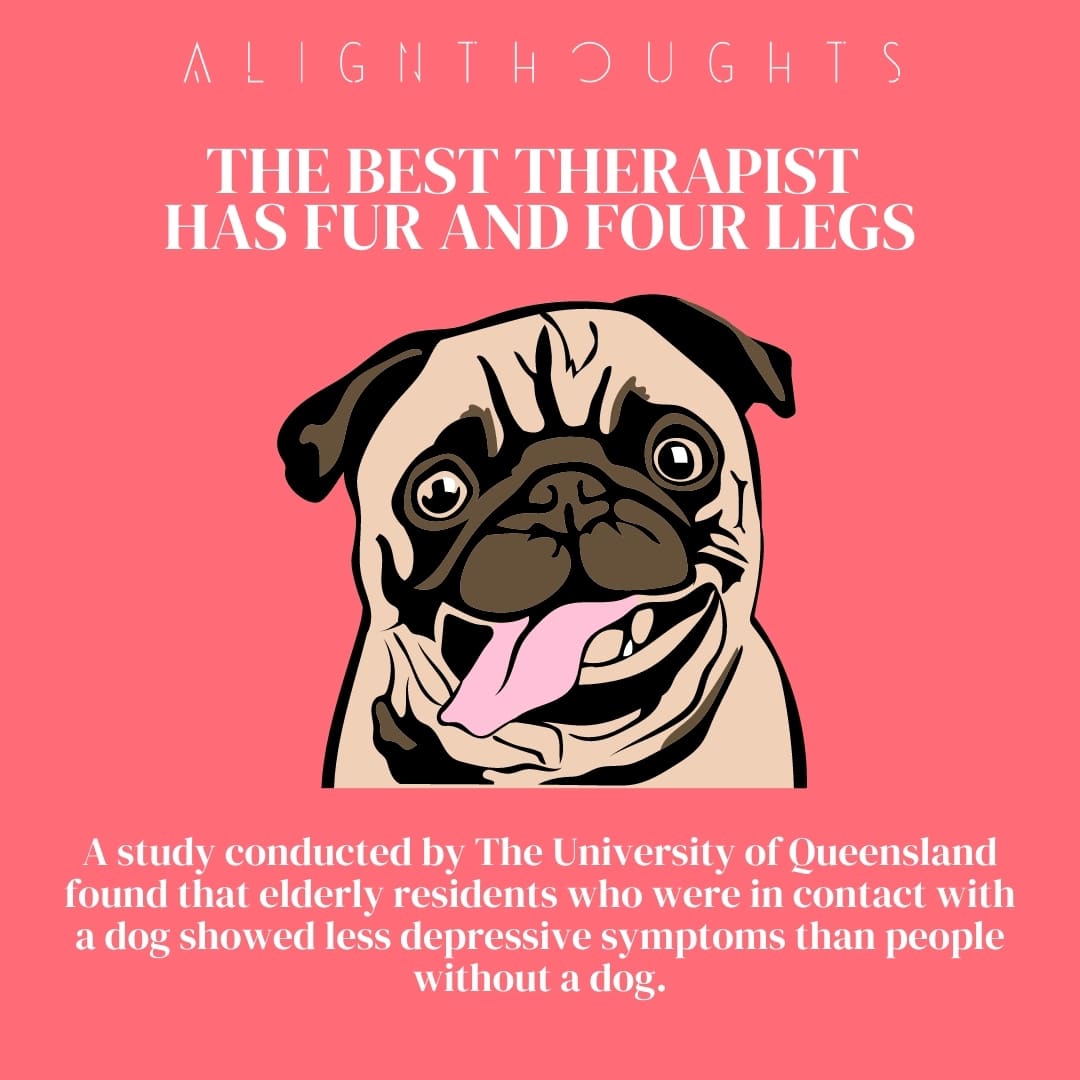 mental health benefits of owning a dog-alignthoughts