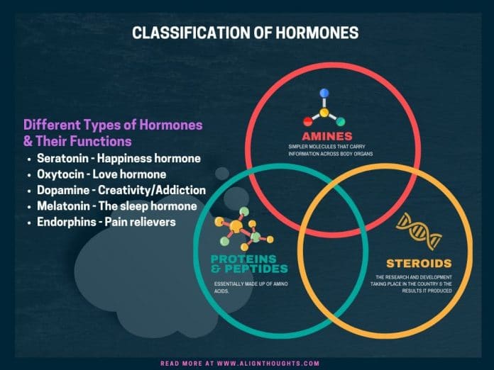 How Different Types Of Hormones Influence Your Daily Health 3710